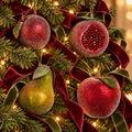 Sugared Fruit Ornaments – Box of 4