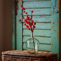 Rock Candy Ilex Berry Small