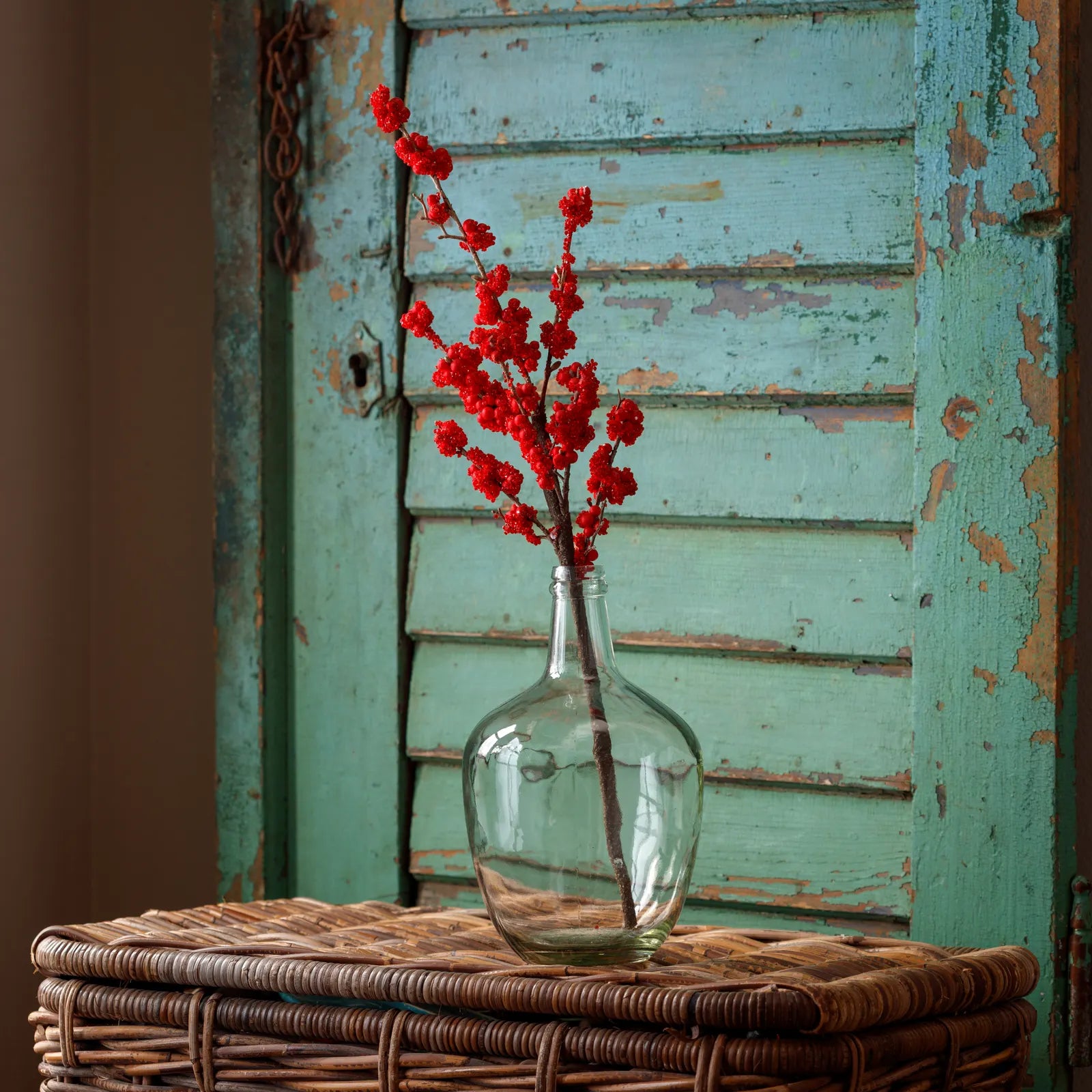 Rock Candy Ilex Berry Small